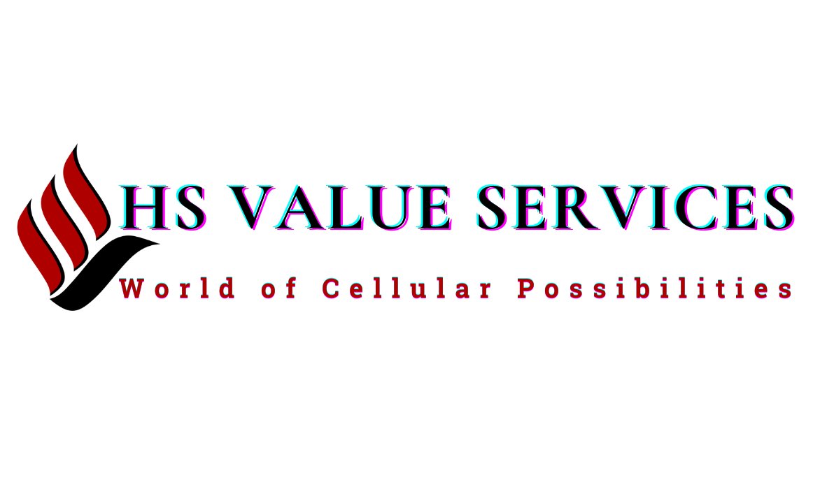 HS Value Services
